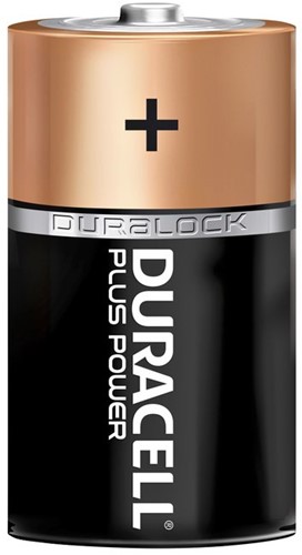 Batterij Alkaline D 2 stuks
