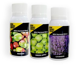 Gejoma Basic Luchtverfrisser Spray 80 ml