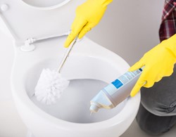 Sanitairreinigers