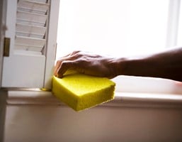 Sponzen: essentieel voor een schone glans